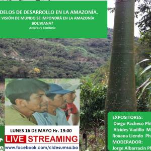 MODELOS DE DESARROLLO EN LA AMAZONÍA