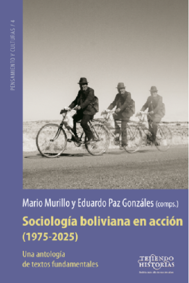 Descripción de la imagen